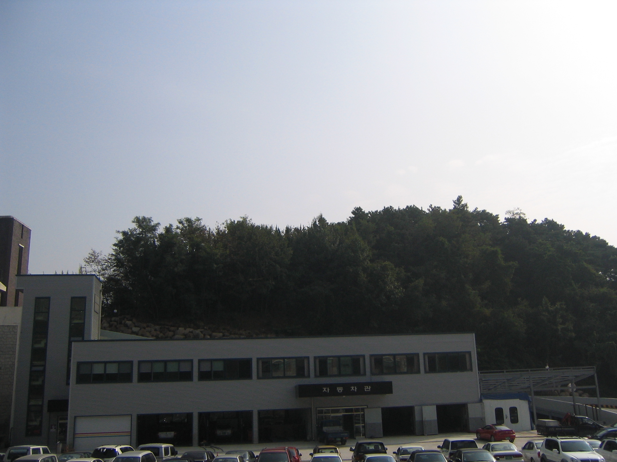 IMG_3763.JPG