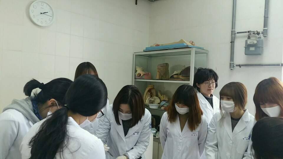 카데바1.jpg